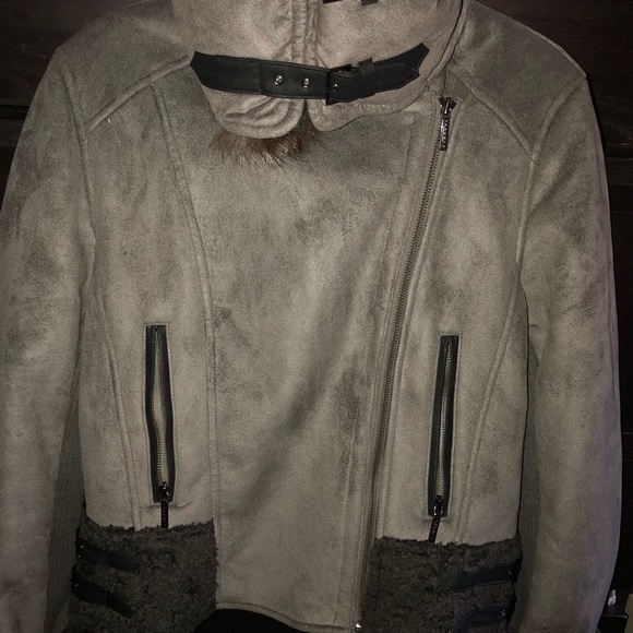 Winter Jacket - Picture 2 of 6